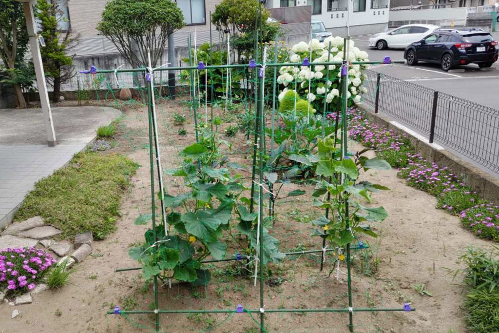 デイサービスゆめふるサテライト